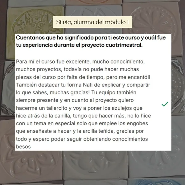 Silvia, alumna del módulo 1, cuenta que el curso fue excelente y destaca la forma de explicar de Nati