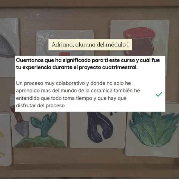 Mensaje de una alumna contando lo que logró con las clases