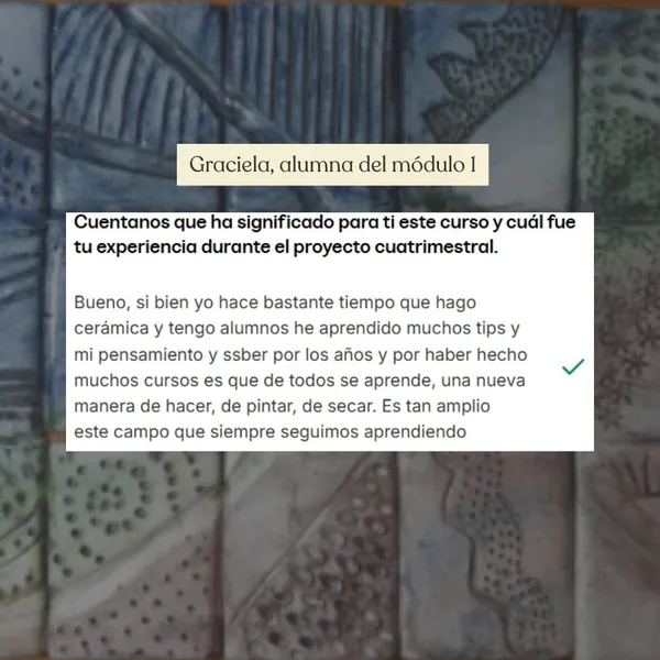 Mensaje de una alumna sobre su experiencia en la escuela